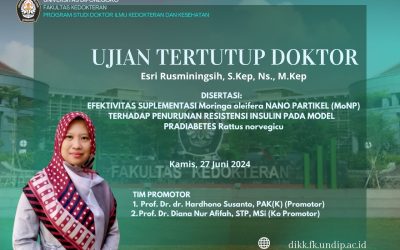DOCTORAL FINAL EXAMINATION JUNE 2024