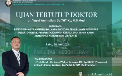 DOCTORAL FINAL EXAMINATION JUNE 2024
